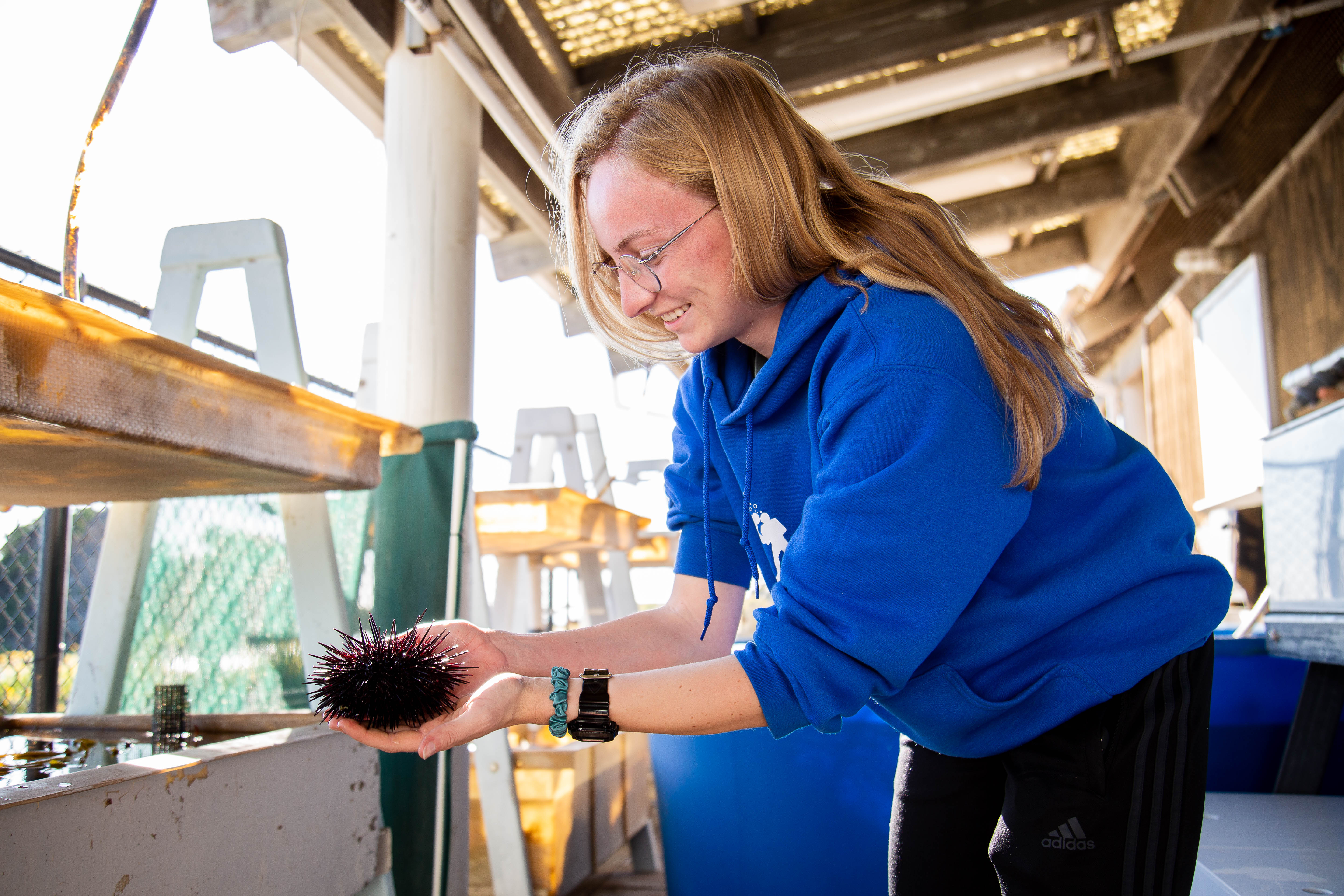 student touching sea urchin